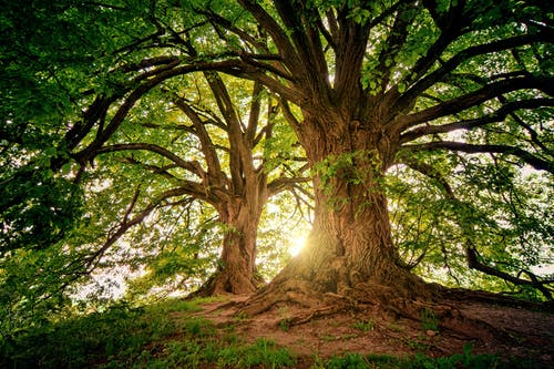 Mental Health Awareness Week – Sara’s Nature Blog