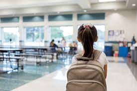 Increase in Mental Health and Wellbeing Support for Children and Young People across Midlothian.